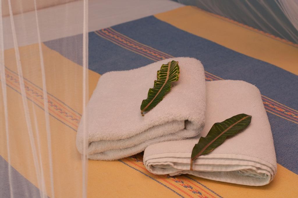 My Tulum Cabanas Стая снимка